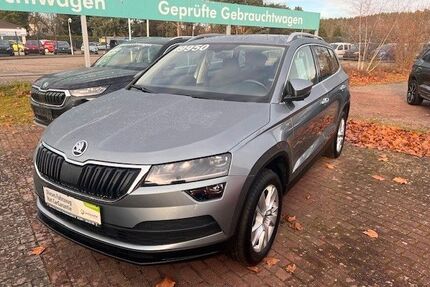 Skoda Karoq Gebrauchtwagen