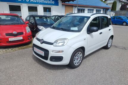 Fiat Panda Gebrauchtwagen