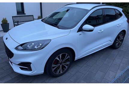Ford Kuga Gebrauchtwagen