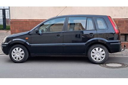 Ford Fusion Gebrauchtwagen