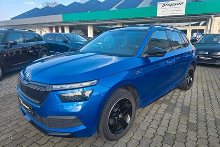 Skoda Kamiq Gebrauchtwagen