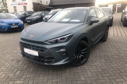 Cupra Terramar Gebrauchtwagen