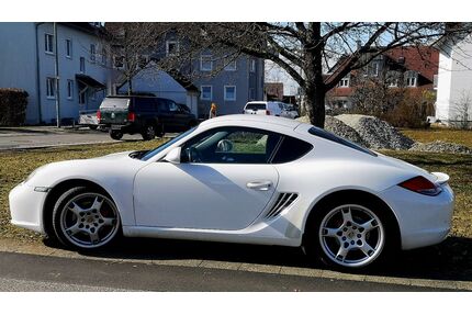 Porsche Cayman Gebrauchtwagen