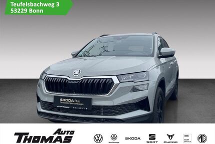 Skoda Karoq Gebrauchtwagen
