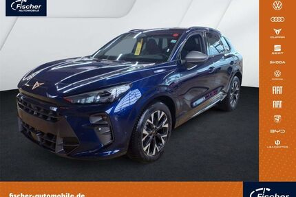 Cupra Terramar Gebrauchtwagen