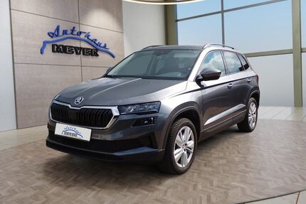 Skoda Karoq Gebrauchtwagen