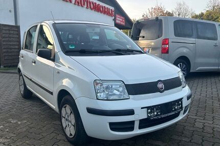 Fiat Panda Gebrauchtwagen