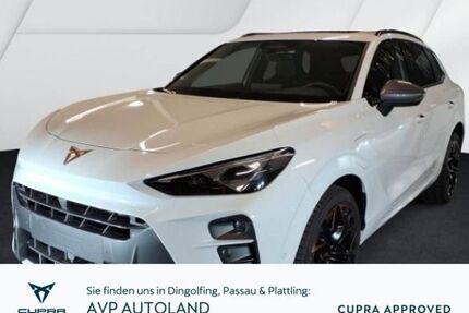 Cupra Terramar Gebrauchtwagen