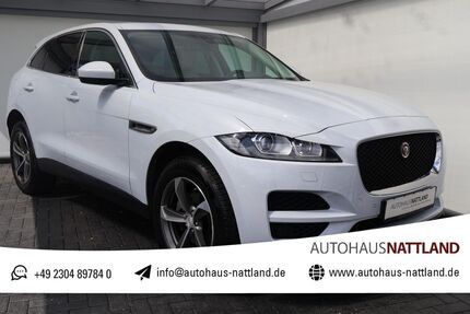 Jaguar F-Pace Gebrauchtwagen