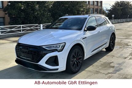 Audi Q8 e-tron Gebrauchtwagen