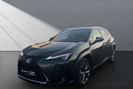 Lexus UX Gebrauchtwagen