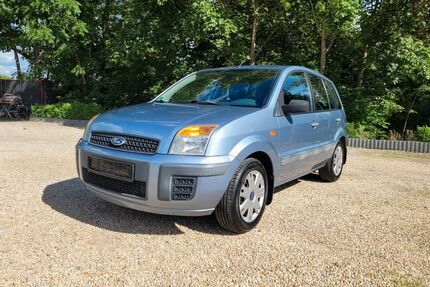 Ford Fusion Gebrauchtwagen