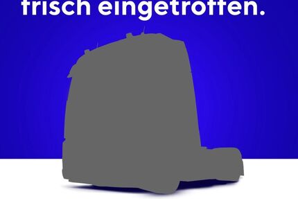 Tesla Model 3 Gebrauchtwagen