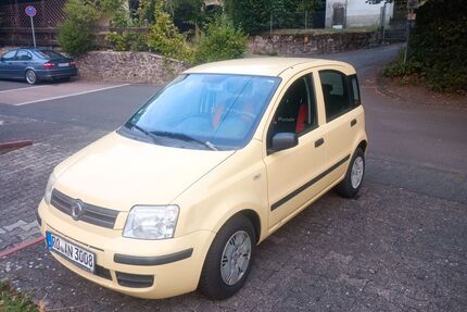 Fiat Panda Gebrauchtwagen