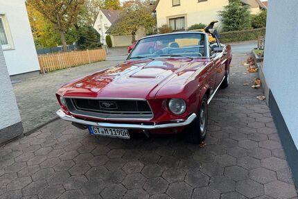 Ford Mustang Gebrauchtwagen