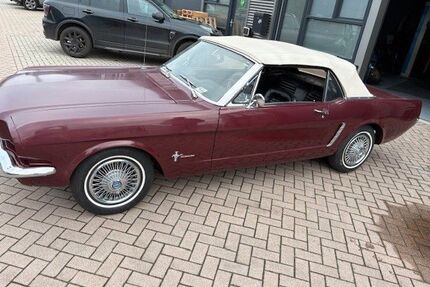 Ford Mustang Gebrauchtwagen