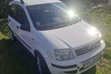 Fiat Panda Gebrauchtwagen