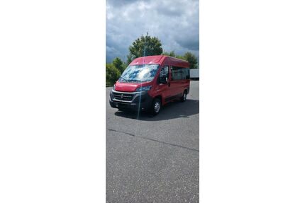 Fiat Ducato Gebrauchtwagen