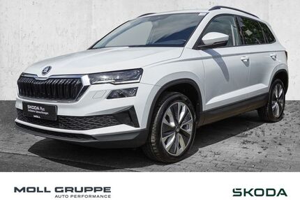 Skoda Karoq Gebrauchtwagen