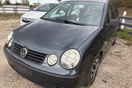 VW Polo Gebrauchtwagen