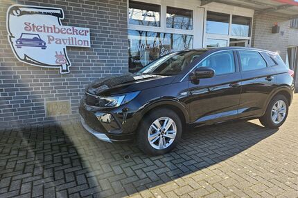 Opel Grandland (X) Gebrauchtwagen