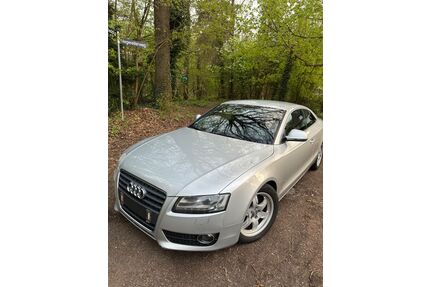 Audi A5 Gebrauchtwagen