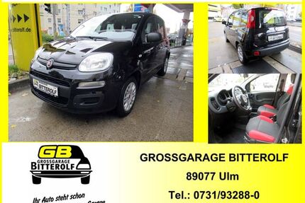 Fiat Panda Gebrauchtwagen