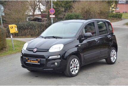 Fiat Panda Gebrauchtwagen