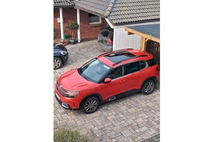 Citroen C5 Aircross Gebrauchtwagen