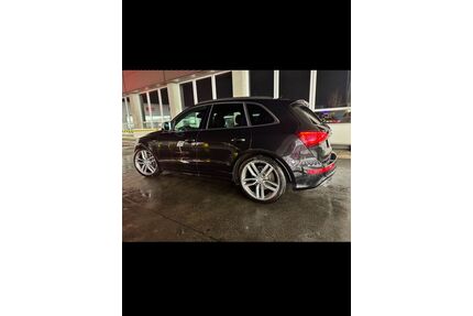 Audi SQ5 Gebrauchtwagen