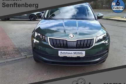 Skoda Karoq Gebrauchtwagen
