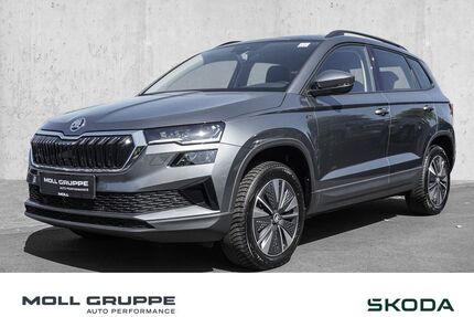 Skoda Karoq Gebrauchtwagen