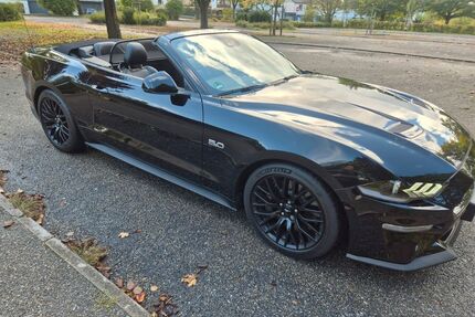Ford Mustang Gebrauchtwagen