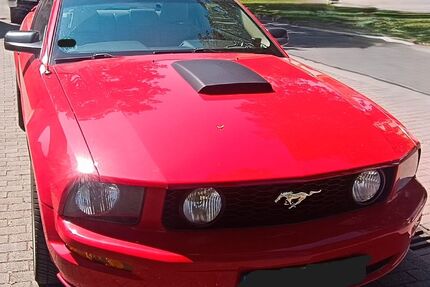 Ford Mustang Gebrauchtwagen