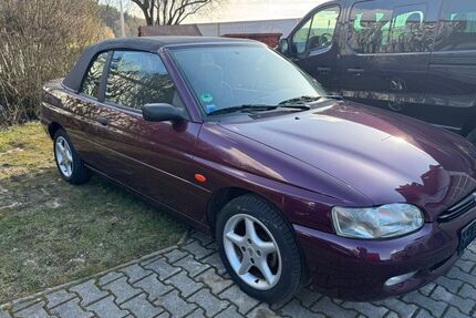 Ford Escort Gebrauchtwagen