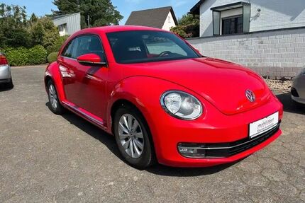 VW Beetle Gebrauchtwagen