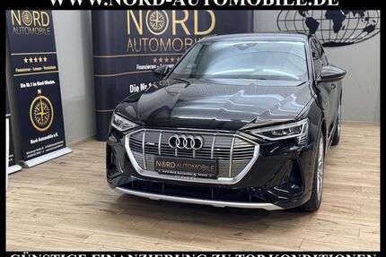 Audi e-tron Gebrauchtwagen