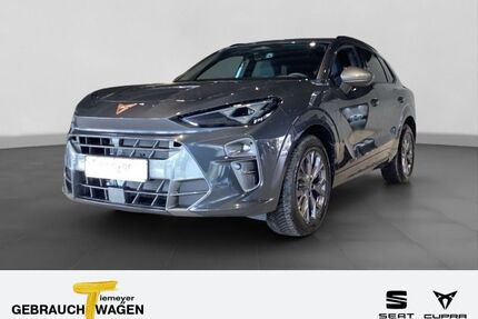 Cupra Terramar Gebrauchtwagen
