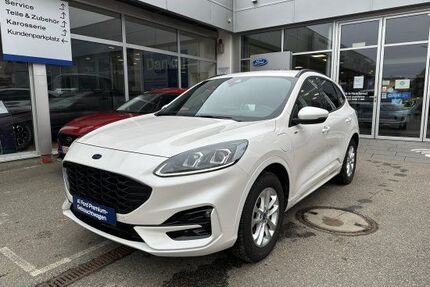 Ford Kuga Gebrauchtwagen