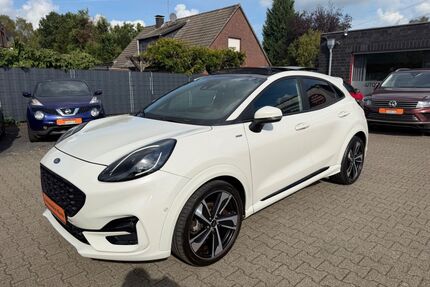 Ford Puma Gebrauchtwagen
