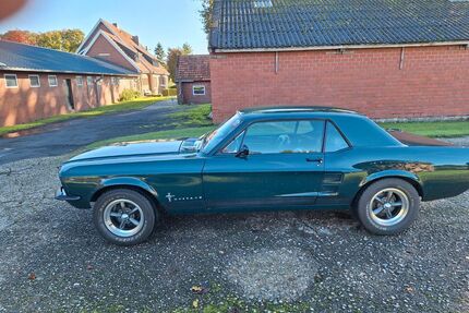 Ford Mustang Gebrauchtwagen