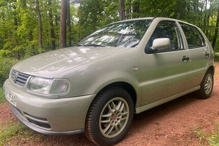 VW Polo Gebrauchtwagen