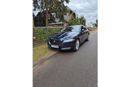 Jaguar XF Gebrauchtwagen