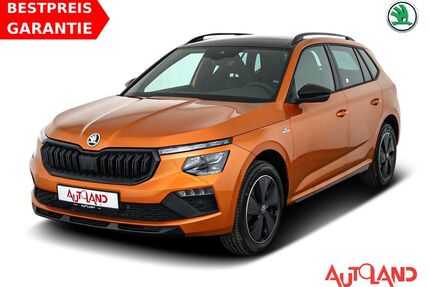 Skoda Kamiq Gebrauchtwagen