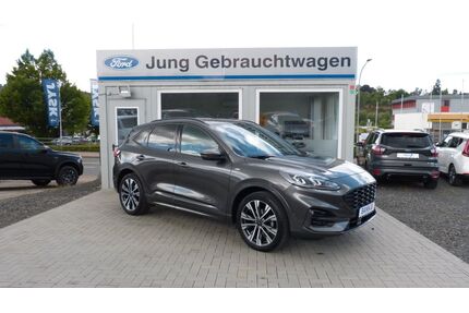 Ford Kuga Gebrauchtwagen