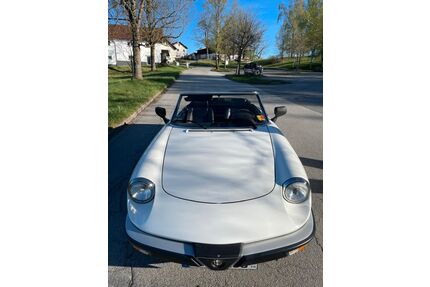 Alfa Romeo Spider Gebrauchtwagen