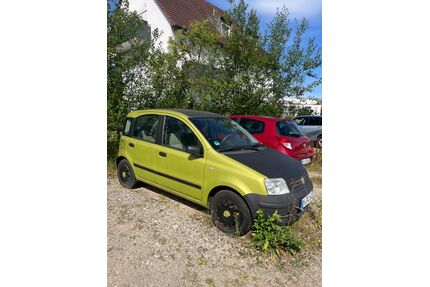 Fiat Panda Gebrauchtwagen