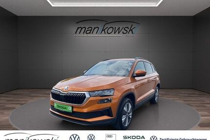 Skoda Karoq Gebrauchtwagen