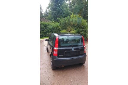 Fiat Panda Gebrauchtwagen