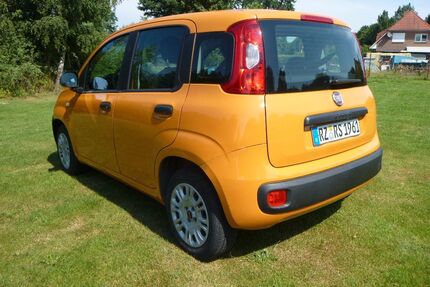 Fiat Panda Gebrauchtwagen